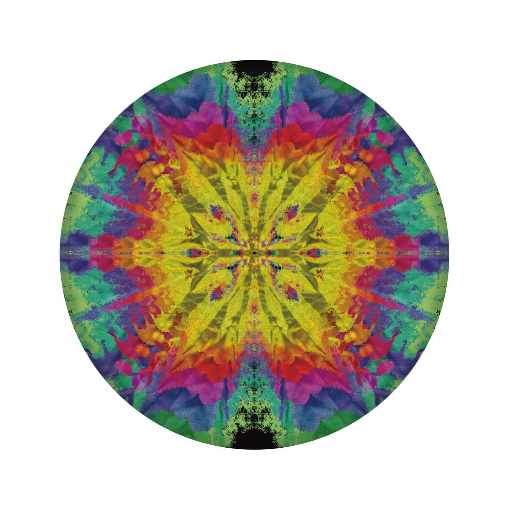 翼友专业版飞盘 格林(Wingman Pro Greengem)