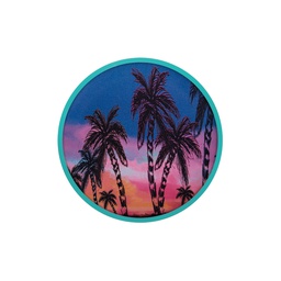 [390C01_SI] Flobo水上飞盘 日落棕榈(Flobo Sunsetpalm)